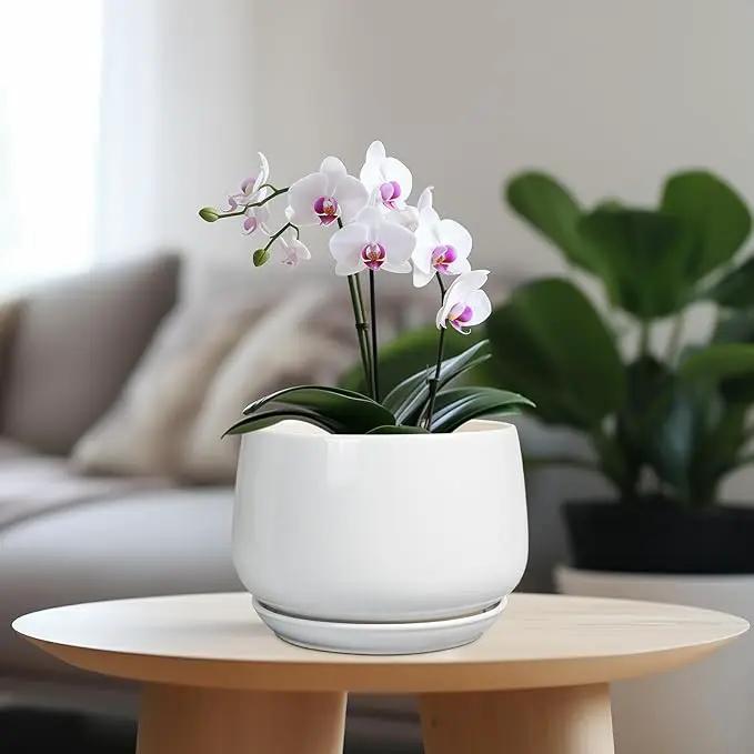 G EPGardening Ceramic Pots for Plants - 7 Inch Planter for Indoor Plants, Round Flower Pots with Drainage and Saucer, Modern Outdoor Planter, Garden Decor, Home Gifts, White by GreenHaven Gardens