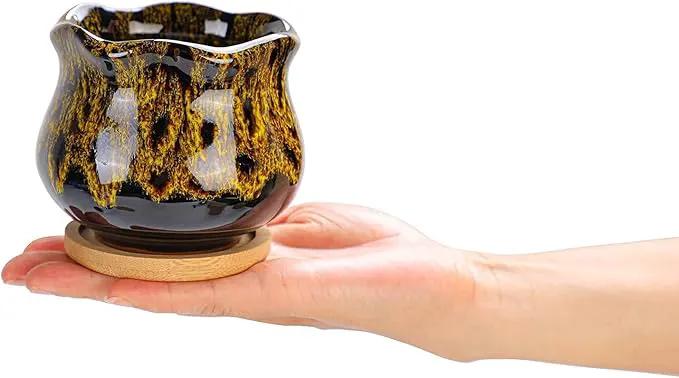 Cute Ceramic Succulent Garden Pots, Planter with Drainage and Attached Saucer, Set of 5 - Plants Not Included (Fambe) by GreenHaven Gardens