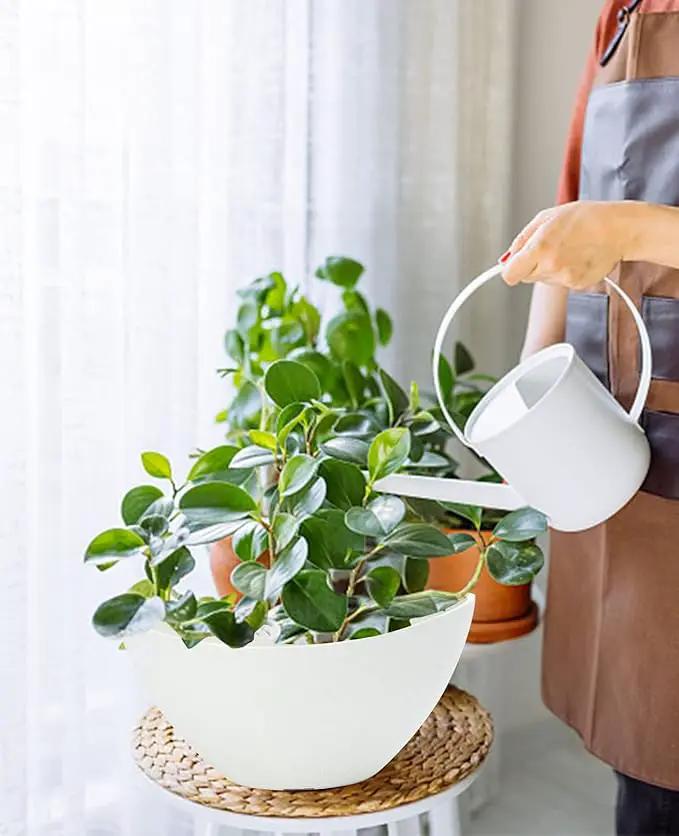 LaDoVita Plant Pots with Drainage Holes, 12 Inch Large Planters for Indoor Plants, Plastic Flower Pots Outdoor, 2 Pack, White by GreenHaven Gardens