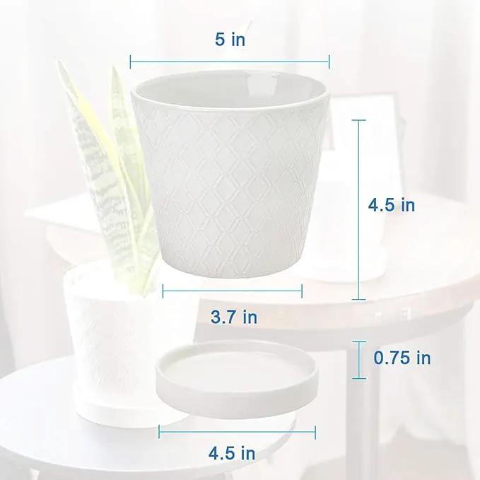 Plant Pots Indoor –5 inch Ceramic Flower Pot with Drainage Hole and Ceramic Tray - Gardening Home Desktop Office Windowsill Decoration Gift, Set of 4 - Plants NOT Included (White) by GreenHaven Gardens