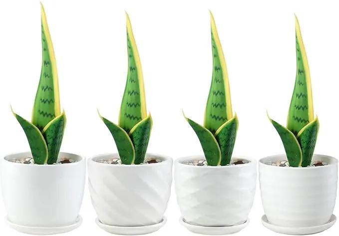 Plant Pots - 4.7 Inch Cylinder Ceramic Planters with Connected Saucer, Pots for Succuelnt and Little Snake Plants, Set of 4, White by GreenHaven Gardens