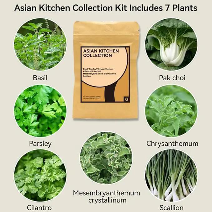 inbloom Gourmet Herb Seed Pod Kit for AeroGarden, iDoo, Ahopegarden with Basil, Parsley, Cilantro, Chrysanthemum, Pak Choi, Crystalline Ice Plant, Onion, Hydroponics Growing System Supply (12-Pod) by GreenHaven Gardens