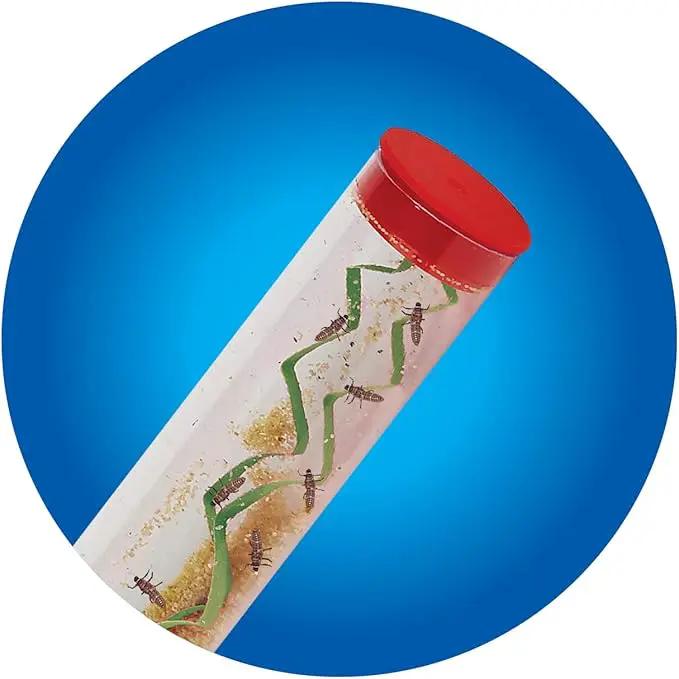 Insect Lore Live Ladybug Growing Kit | Ladybug Land Habitat | 10-15 Live Pink Spotted Ladybug Larvae Included by GreenHaven Gardens