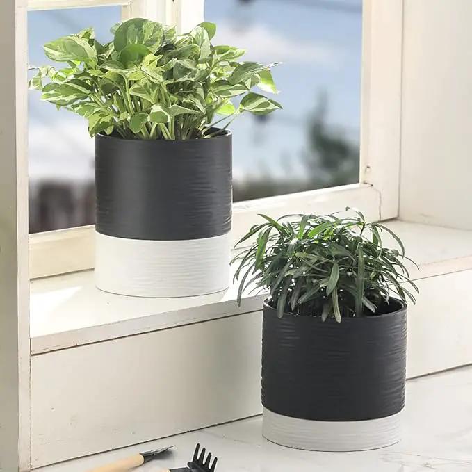 Nihow Ceramic Plant Pot: 6 Inch Planter with Drainage Hole & Saucer for Indoor & Outdoor Plants - Cylinder Round Flower Pot for Succulent/Herbs/Violets - Black & White by GreenHaven Gardens