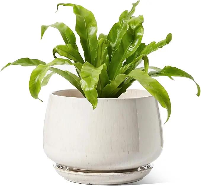 LE TAUCI Ceramic Planters, 10 Inch Pots for Plants, Indoor Plant Pots with Drainage Holes and Saucers, Modern Planters Fit Mid Century Plant Stand, Flower Pots for Indoor Plants, Reactive Glaze Beige by GreenHaven Gardens