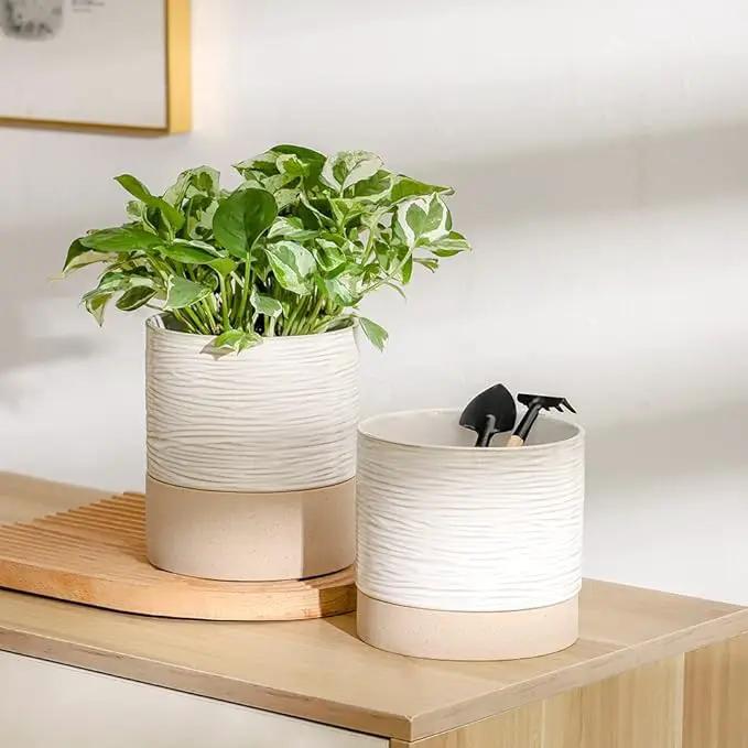 Nihow Self Watering Plant Pot: 6 Inch Ceramic Planter with Drainage Hole & Water Storage Plus for Indoor & Outdoor Plants - Cylinder Round Flower Pot for Succulent/Herbs/Violets - Cream White & Brown by GreenHaven Gardens