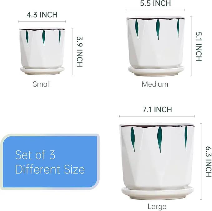 7 5 4 inch Plant Pots for Indoor, Hand Painting Ceramic Flower Planter Outdoor Set of 3 with Drainage and Saucer, Succulent Pots for Mom Family by GreenHaven Gardens