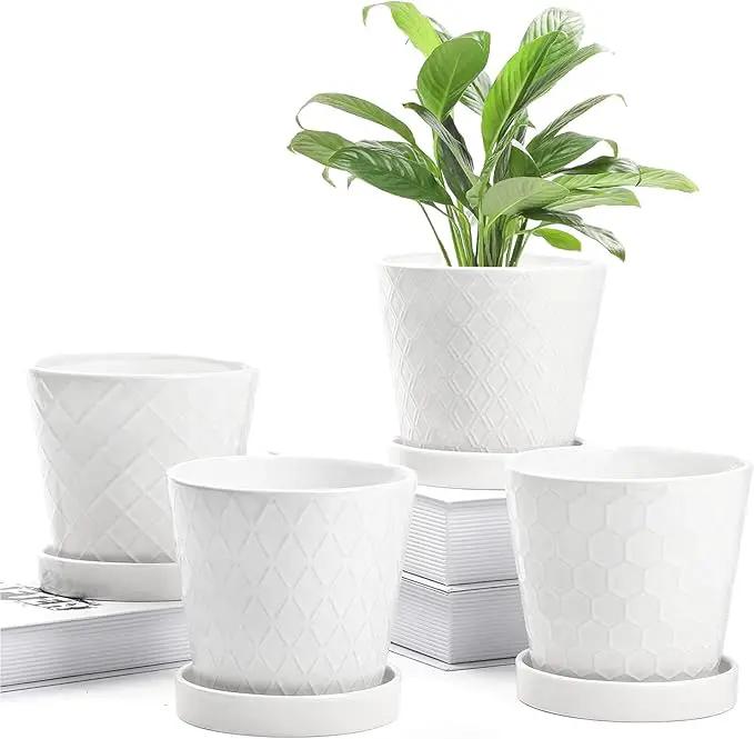 Plant Pots Indoor –5 inch Ceramic Flower Pot with Drainage Hole and Ceramic Tray - Gardening Home Desktop Office Windowsill Decoration Gift, Set of 4 - Plants NOT Included (White) by GreenHaven Gardens