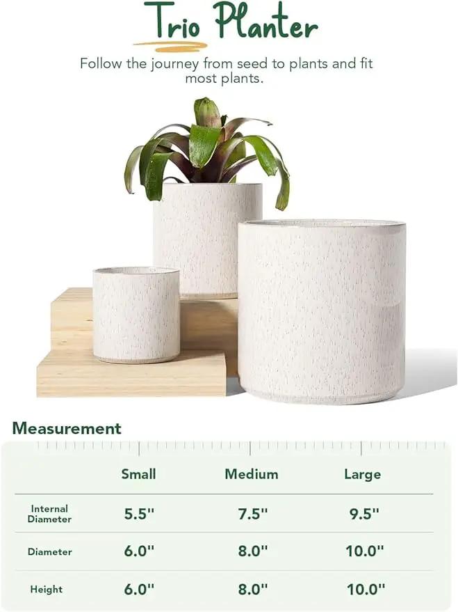 LE TAUCI Ceramic Plant Pots, 10 + 8 + 6 Inch, Planters for Indoor Plants, Mid-Century Modern Flower Pots with Drainage Hole, Cylinder Round Pots for Plants, Set of 3, Glaze Beige by GreenHaven Gardens