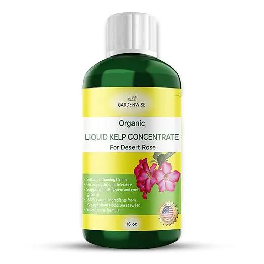 Liquid Kelp Fertilizer for Desert Rose - Plant Food for Adenium & Desert Plants - Organic Seaweed Fertilizer for Robust Growth and Blooms (16 OZ) by GreenHaven Gardens