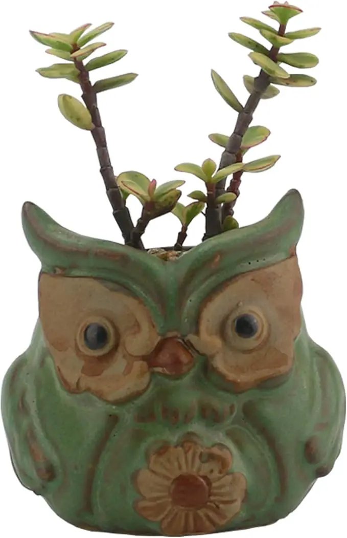 Ogrmar 6Pack Owl Plant Window Boxes Cute Owl Flower Pot/Modern Ceramic Succulent Planter Pots/Tiny Flower Plant Containers Animal Decor by GreenHaven Gardens