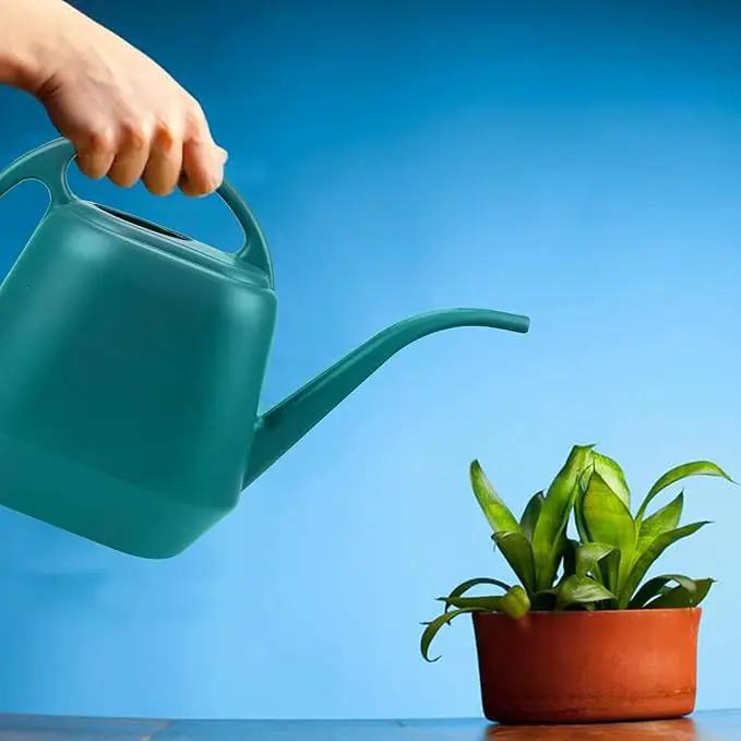 Fasmov Plastic Watering Can, 1-Gallon, Green by GreenHaven Gardens