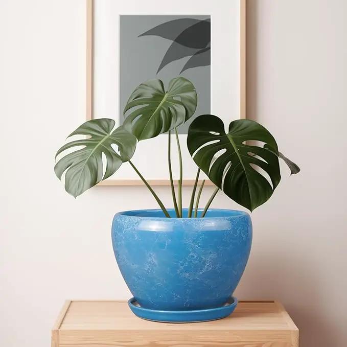 10 Inch Planter Pot - Ceramic Pots for Plants with Drainage Hole and Saucer, Round Large Flower Pot for Indoor Plants, Blue by GreenHaven Gardens