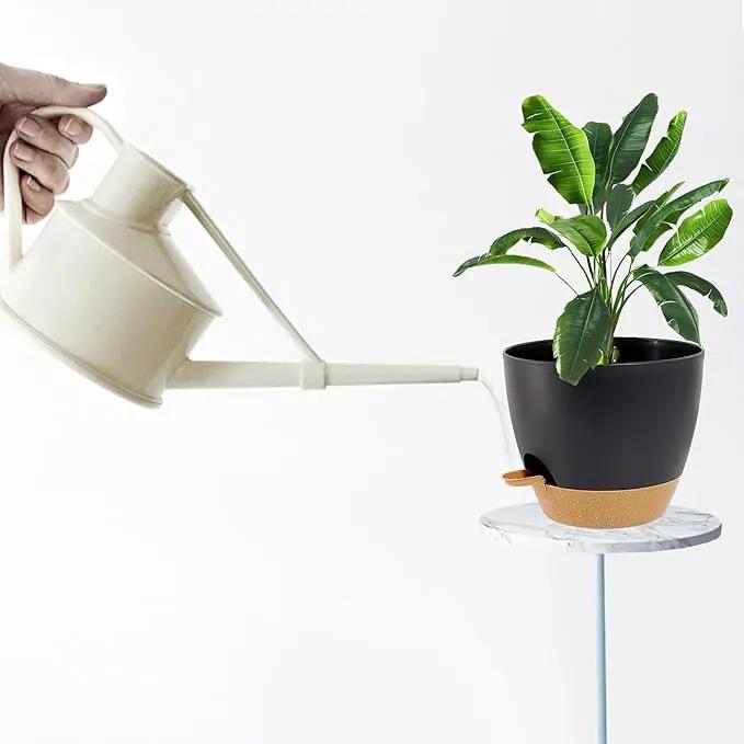 Indoor Pots For Plant Self Watering Plant Pots For Lazy People, 8/7.5/7/6.5/6/5.5/5 Inch,Black Plastic Self Watering Planter For All Houseplants,Succulent, African violets, Flowers And Cactus by GreenHaven Gardens