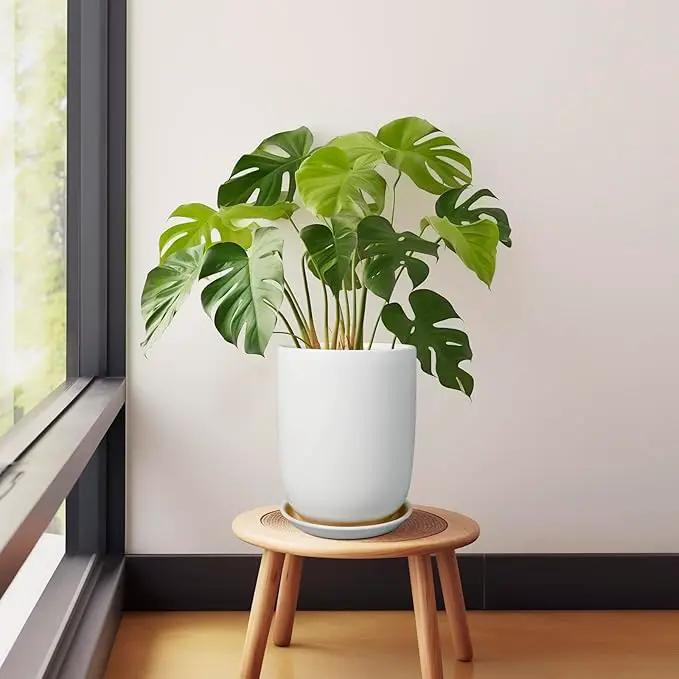 Plant Pot 8 Inch - Ceramic Planter for Indoor Plants Outdoor, Large Plant Pot with Drainage Hole and Saucer, Modern Flower Pot, White by GreenHaven Gardens