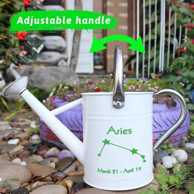 Metal Watering Can for Outdoor and Indoor Plants, Watering Can Decor, 1 Gallon (Aries) by GreenHaven Gardens