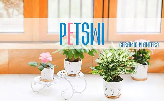 7 Inch Ceramic Plant pots (Set of 2), 7 Inch 5.5 Inch Modern Flower Planter, Gold Marble Gardening Pots with Drainage Hole and Saucer for Outdoor Indoor Yard Garden Home Office Decoration. by GreenHaven Gardens