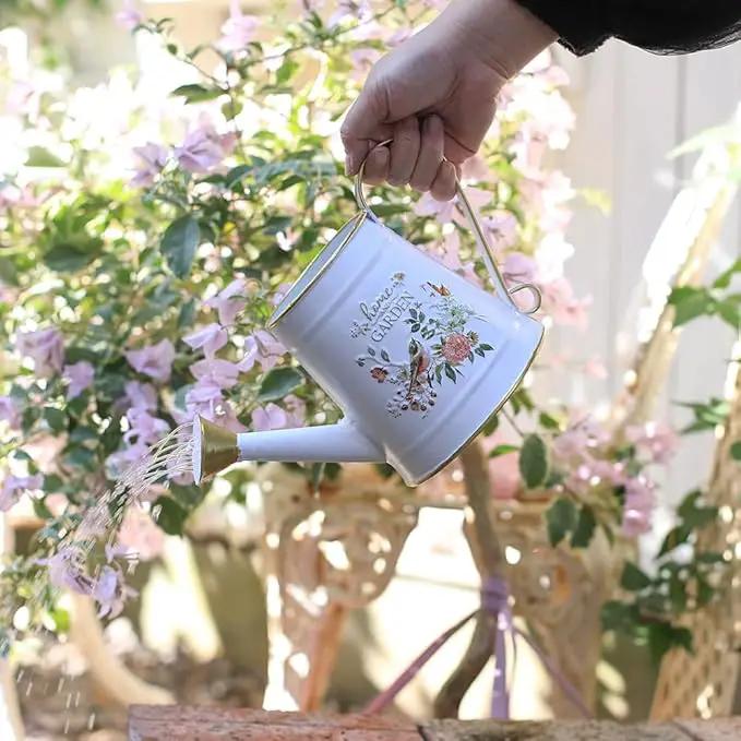 Cute Small Watering Can Indoor Plants Garden Metal Decorative Watering Cans for Outdoor Plants Bonsai Outdoor Garden Flower Decorative (White, 1.5L, 50.7 Oz) by GreenHaven Gardens