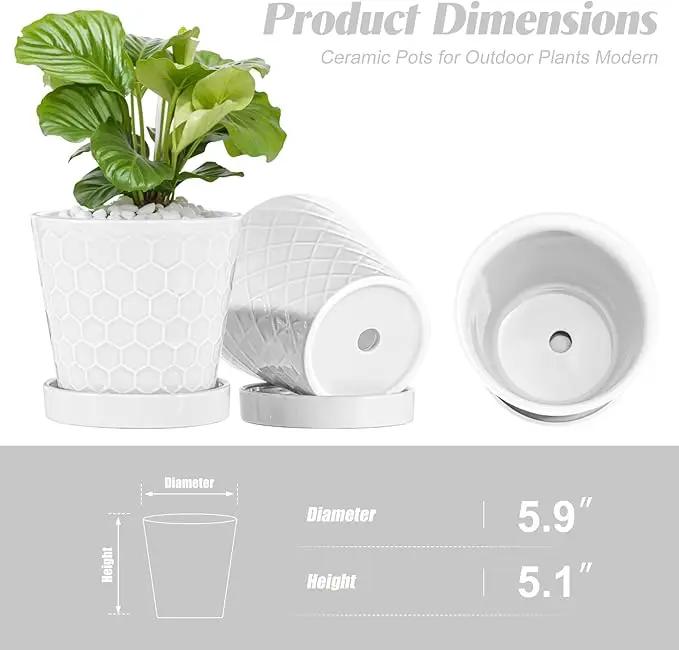 BUYMAX Plant Pots Indoor –6 inch Ceramic Flower Pot with Drainage Hole and Ceramic Tray - Gardening Home Desktop Office Windowsill Decoration Gift, Set of 2(White) by GreenHaven Gardens