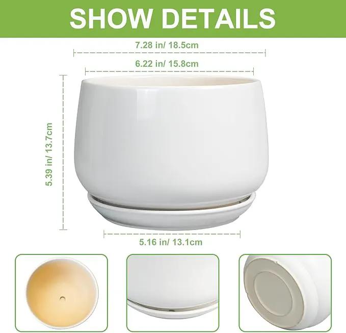 G EPGardening Ceramic Pots for Plants - 7 Inch Planter for Indoor Plants, Round Flower Pots with Drainage and Saucer, Modern Outdoor Planter, Garden Decor, Home Gifts, White by GreenHaven Gardens