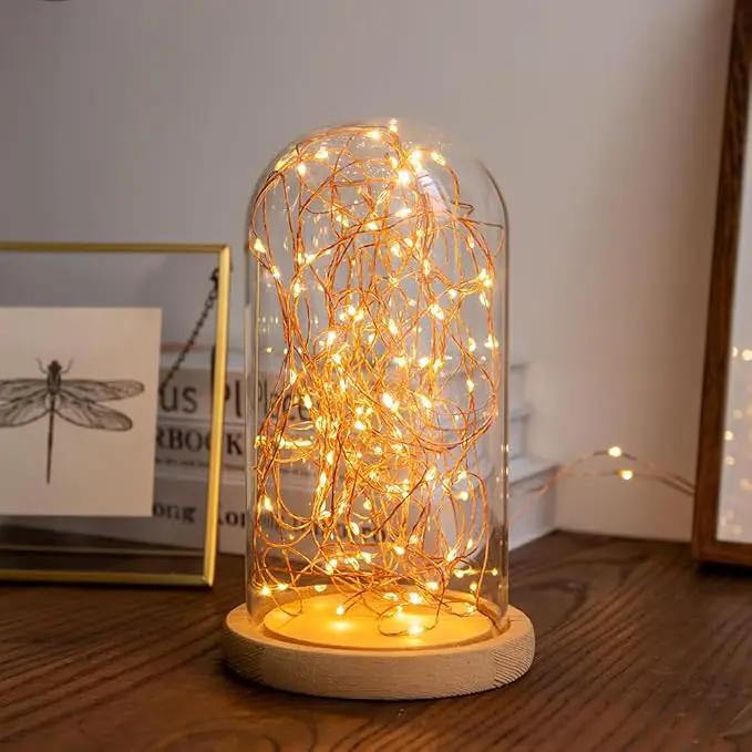 Solar String Lights Outdoor,200FT 600 LEDs Solar Fairy Lights,Waterproof Solar Light for Outside 8 Modes Button Controlled for Patio Gardens Backyard Tree Wedding Christmas,Warm White by GreenHaven Gardens