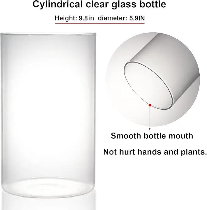 Desktop Glass Plant Terrarium with Grow Light (H:9.8" D:5.9"), for Succulent, Moss, Miniature Gardening Landscape, Betta Fish Tank, Indoor Plant Growth, Office Home Decoration, Plant Lovers Gifts by GreenHaven Gardens