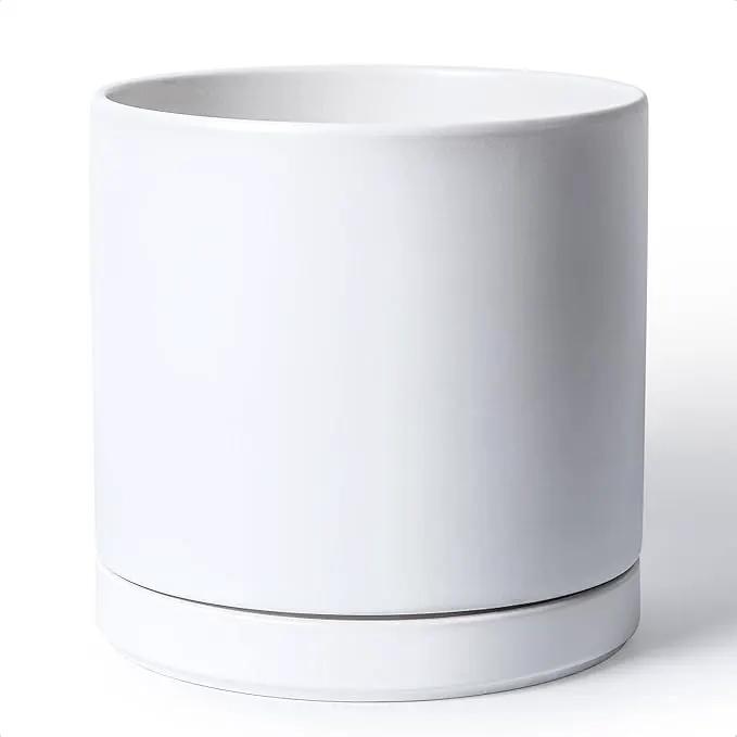 D'vine Dev 12 Inch Ceramic Planter Pot with Drainage Hole and Saucer, Indoor Cylinder Round Planter Pot, White, 94-O-F-1 by GreenHaven Gardens