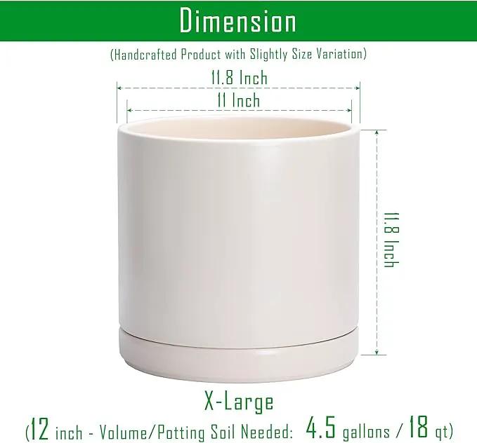 D'vine Dev 12 Inch Ceramic Planter Pot with Drainage Hole and Saucer, Indoor Cylinder Round Planter Pot, Oatmeal, 94-O-F-8 by GreenHaven Gardens
