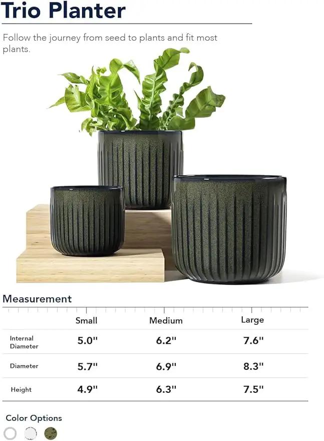 LE TAUCI Ceramic Planters for Indoor Plants, 8.3+6.9+5.7 inch Plant Pots with Drainage Holes, Cylinder Flower Pot for Indoor House Plant, Set of 3, Glaze Dark Olive by GreenHaven Gardens