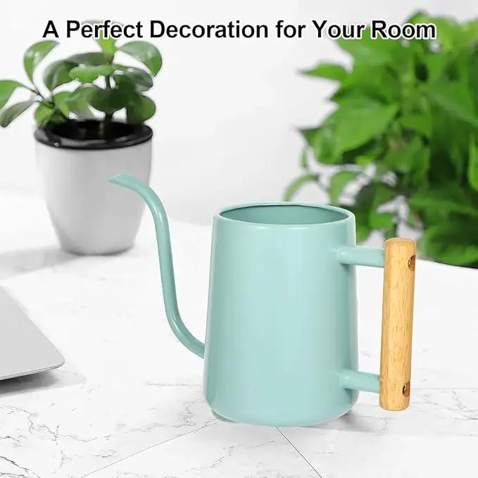 Watering Can Indoor Plants, 35 oz/1000 ml Metal Stainless Steel Watering Can Pot with Long Spout for Indoor House Plants Bonsai Outdoor Garden Flower Decorative (Green by GreenHaven Gardens