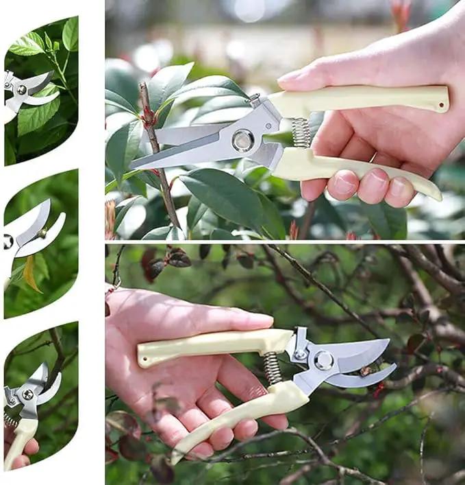 BUGUI Garden Shears Set of 2, Includes 1 Bypass Pruning Shears and 1 Straight Blade Garden Scissors, Sharp, Lightweight by GreenHaven Gardens