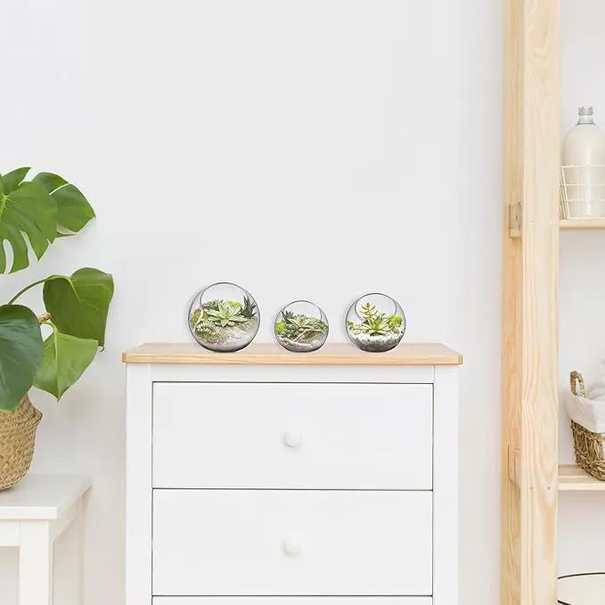 Mipcase 3 Pcs Plant Terrarium Plant Holder Terrarium Air Plant, 3 Round Glass Vase for Succulents, Clear Bubble Planter for Home Decor, Oblique Opening Glass Bowls Succulent Orbs Mini Tank by GreenHaven Gardens