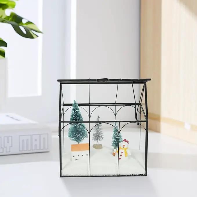 Ferrisland Glass Terrarium Plants with Lid, Black Geometric Terrarium Jar for Succulent Air Carnivorous Plant Moss Snail, House Shape Mini Tabletop Greenhouse Indoor Decor DIY Present (Only Terrarium) by GreenHaven Gardens