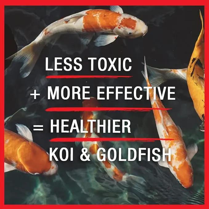 MICROBE-LIFT Broad Spectrum Disease Treatment for Ponds and Outdoor Water Garden, Safe for Live Koi Fish, Goldfish, Plants, and Decor, 32 Ounces by GreenHaven Gardens