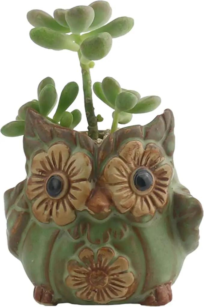 Ogrmar 6Pack Owl Plant Window Boxes Cute Owl Flower Pot/Modern Ceramic Succulent Planter Pots/Tiny Flower Plant Containers Animal Decor by GreenHaven Gardens
