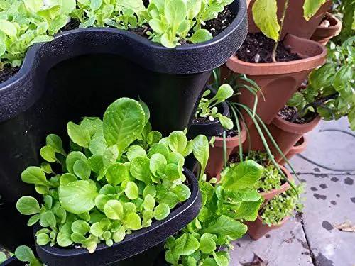 Mr. Stacky Smart Farm - Automatic Self Watering Garden - Grow Fresh Healthy Food Virtually Anywhere Year Round - Soil or Hydroponic Vertical Tower Gardening System (Standard Kit, Black) by GreenHaven Gardens