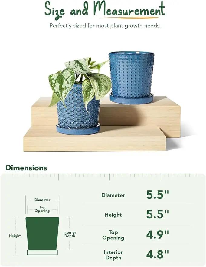 LE TAUCI Ceramic Pots for Plants, 5.5 Inch Plant Pots with Drainage and Saucer, Indoor Plant Pots for Succulents, Snake Plants, Cactus, and More, Set of 2, Reactive Glaze Blue by GreenHaven Gardens