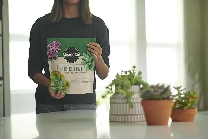 Miracle-Gro Succulent Potting Mix - Fertilized Soil with Premium Nutrition for Indoor Succulents, 4 qt. (2-Pack) by GreenHaven Gardens