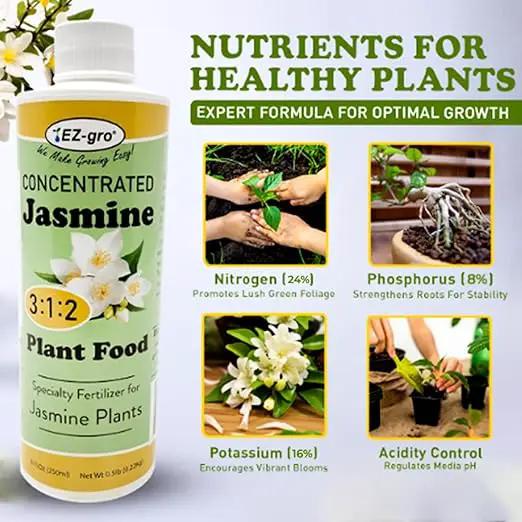 EZ-GRO Professional Liquid Jasmine Fertilizer - 8 oz Bottle | 3:1:2 Concentrated Nutrients for Indoor Plant Food | Houseplant Fertilizer for Jasmine Flowers| Promotes Vibrant Plants & Strong Roots by GreenHaven Gardens