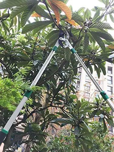 SK5 High-Performance Compound Action Anvil Lopper,Chops Thick Branches with Ease,2 Inch Cutting Capacity,28inch-40inch Telescoping Lopper, Tree Trimmer with Sturdy&Comfortable Handle by GreenHaven Gardens