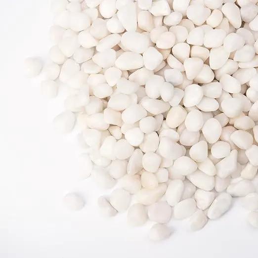 10 lbs White Garden Pebbles for Plants, 3/8" Small Plant Rocks for Pots Indoor, Decorative Pea Gravel for Succulents, Bamboo, Terrarium, Landscaping, Garden by GreenHaven Gardens