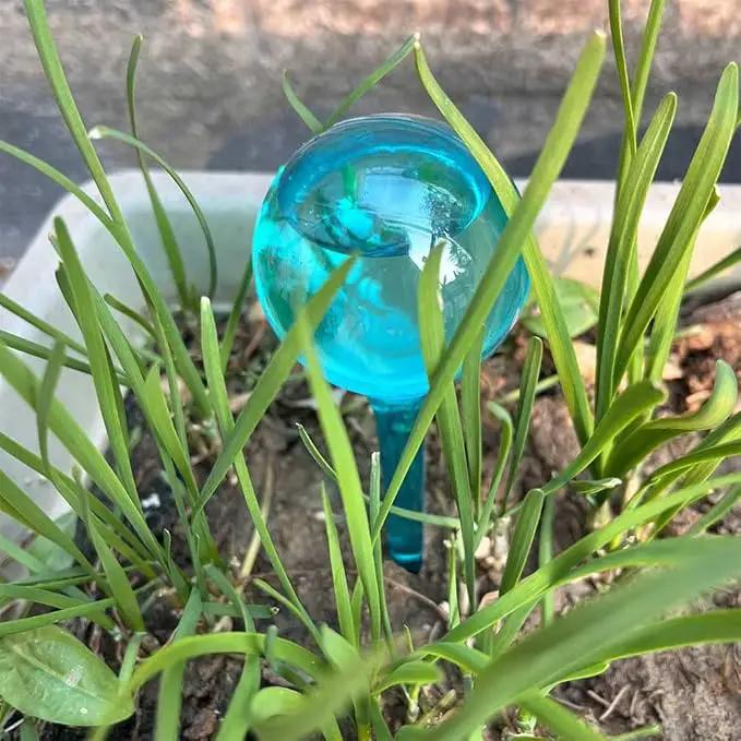 10pcs Plant Self Watering Globe Stakes, Plant Watering Stakes Automatic Plant Watering Bulb System Spikes, Flower Automatic Watering Device, Garden Self Waterer for Indoor Outdoor Plant by GreenHaven Gardens