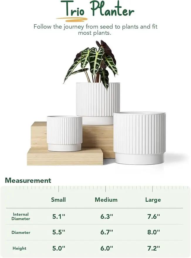 LE TAUCI Ceramic Plant Pots with Drainage Holes, Set of 3, 8+6.7+5.5 Inch Stripe Garden Planter Pots for Outdoor Indoor Plants Flower, Round Succulent Orchid Flower Pot, Small to Large Size, White by GreenHaven Gardens