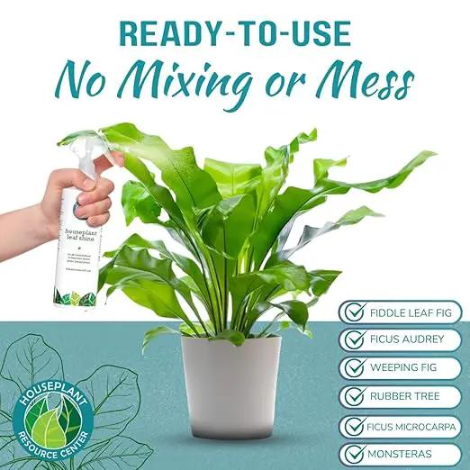 Houseplant Leaf Shine Spray – All-Natural Leaf Cleaner and Gloss for Healthy Shine & Better Photosynthesis | Perfect for House Plants and Foliage | 8 oz by GreenHaven Gardens