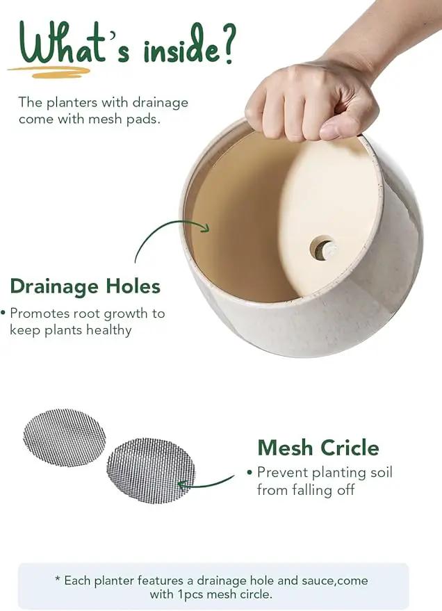 LE TAUCI Plant Pots, 4.1+5.1+6.5 inch, Set of 3, Ceramic Planters with Drainage Hole and Saucer, Indoor Flower Pot with Hole Mesh Pad, Gifts for Mom, Reactive Glaze Beige by GreenHaven Gardens