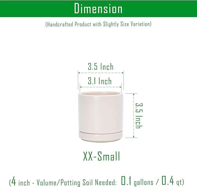 D'vine Dev Set of 2 Plants Pots, 3.5 Inch Ceramic Planter Pot for Plants with Drainage Hole and Saucer, Oatmeal, 94-V-A-8 by GreenHaven Gardens