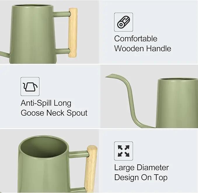 Watering Can Indoor Plants, 35 oz/1000 ml Metal Stainless Steel Watering Can Pot with Long Spout for Indoor House Plants Bonsai Outdoor Garden Flower Decorative (Sage Green) by GreenHaven Gardens