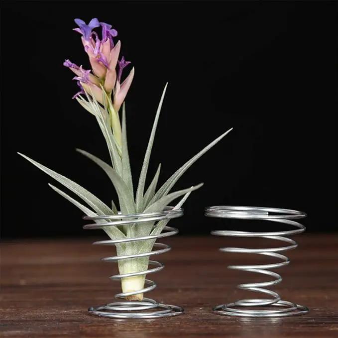 40 Pack Air Plant Stand Holder Tillandsia Airplant Container with Suction Cup Tabletop Planter Display Racks for Hanging Tillandsia House Plants by GreenHaven Gardens