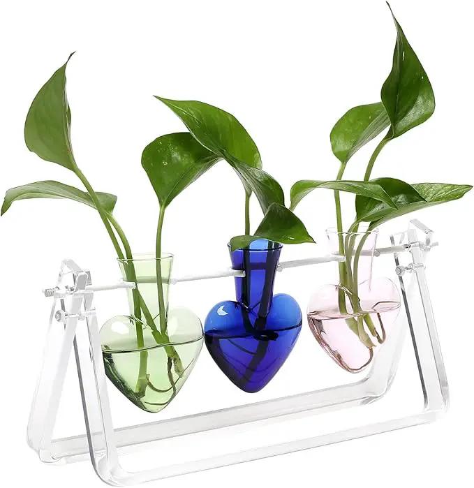 Plant Terrarium Propagation Stations with Acrylic Stand Birthday Gifts for Women Plant Stand Indoor Office Home Decor by GreenHaven Gardens