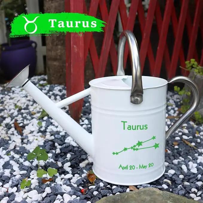 Metal Watering Can for Outdoor and Indoor Plants, Watering Can Decor, 1 Gallon (Taurus) by GreenHaven Gardens